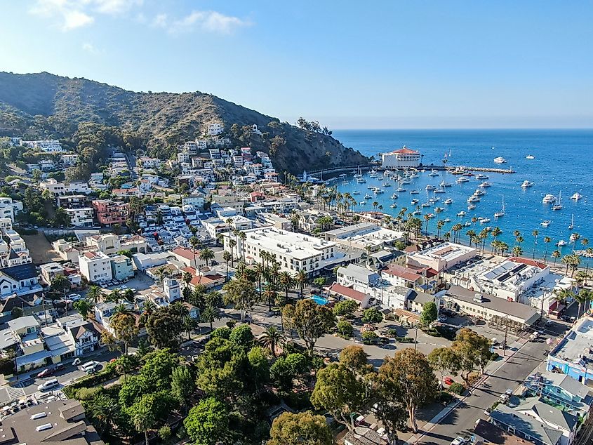 Aerial view of Avalon downtown and bay with boats in Santa Catalina Island. 